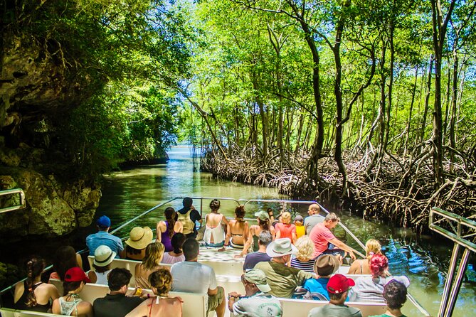 PRIVATE: 3in1 - Los Haitises N.P. + Y. Waterfall + Mount. Redonda - Key Things to Know Before You Go