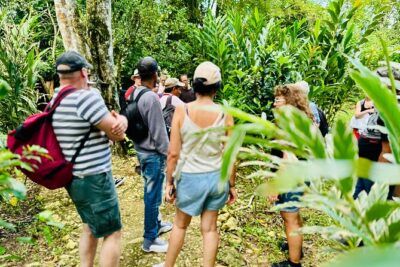 PRIVATE: 3in1 - Los Haitises N.P. + Y. Waterfall + Mount. Redonda - Salto de Yanigua: Waterfall Swimming Plus the Plantation Story