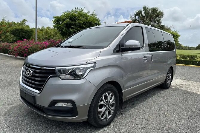 Private Airport Transfer from Punta Cana and Miches Dom Rep - Safety and Service Style: What People Are Praising Most