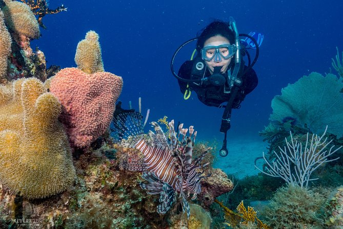 Private Bayahibe 3 Tank Diving with Lunch from Punta Cana - Key highlights worth your attention
