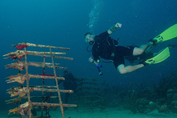Private Bayahibe 3 Tank Diving with Lunch from Punta Cana - Choosing 3 stops from 25+ sites: what that means for you