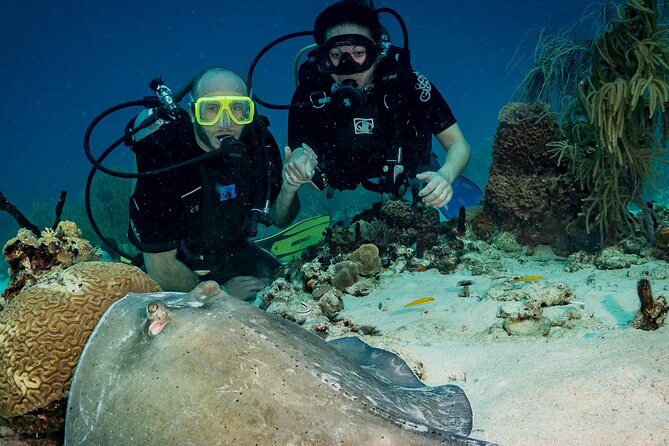 Private Bayahibe 3 Tank Diving with Lunch from Punta Cana - Lunch by the sea: an a la carte break that actually resets you