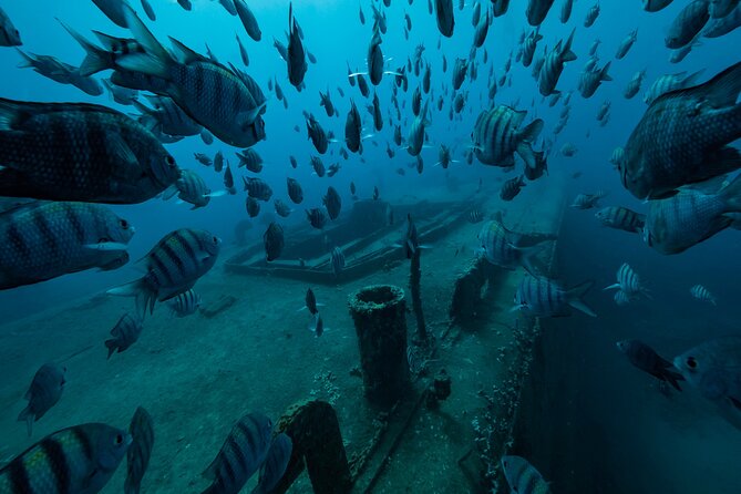 Private Bayahibe 3 Tank Diving with Lunch from Punta Cana - The 7:30 to 4:30 flow: how the day actually moves