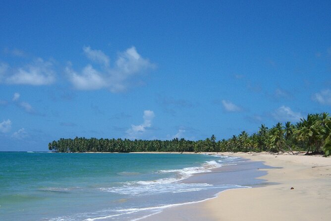 Private Boat Nature Tour of Limón Beach and Lagoon - Key things I’d circle before you book