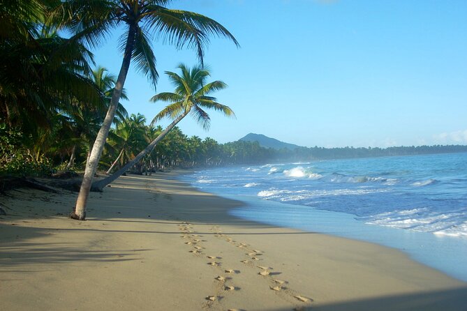 Private Boat Nature Tour of Limón Beach and Lagoon - Price and logistics: what $290 buys you (and why private can be worth it)