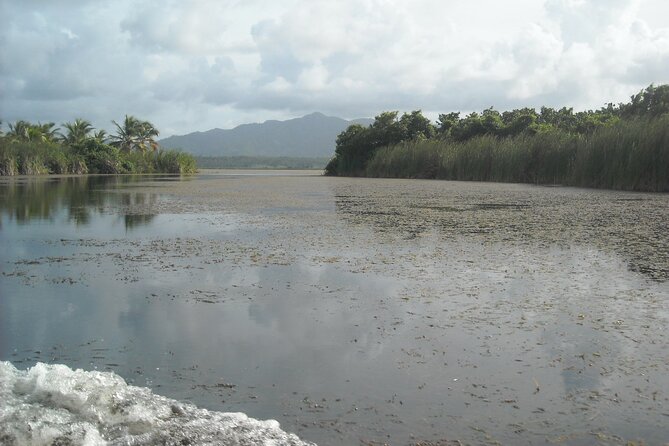 Private Boat Nature Tour of Limón Beach and Lagoon - How to get the most from your guide on the water
