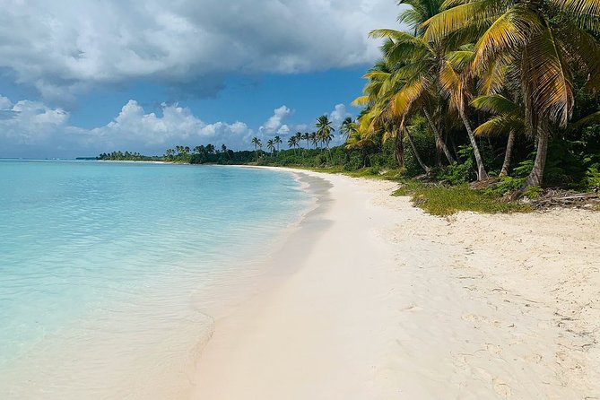 Private Boat Nature Tour of Saona Island - How this private Saona day avoids the usual crush