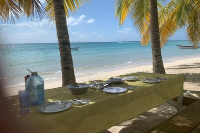 Private Boat Nature Tour of Saona Island - National Park of the East: a scenic 1-hour intro