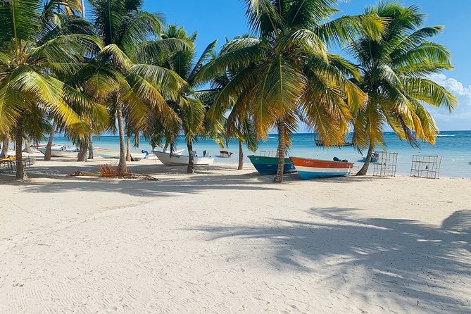 Private Boat Nature Tour of Saona Island - Comfort on the water: shade, life jackets, and included meals