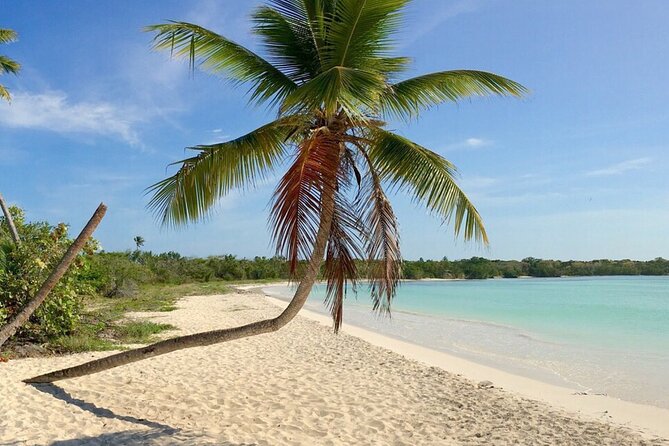 Private Boat Nature Tour of Saona Island - Guides and local hosts: why names matter