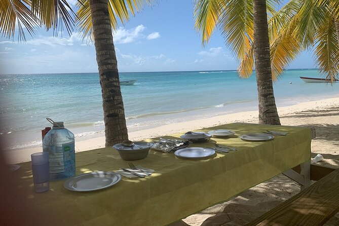Private Boat Nature Tour of Saona Island - National Park of the East: a scenic 1-hour intro