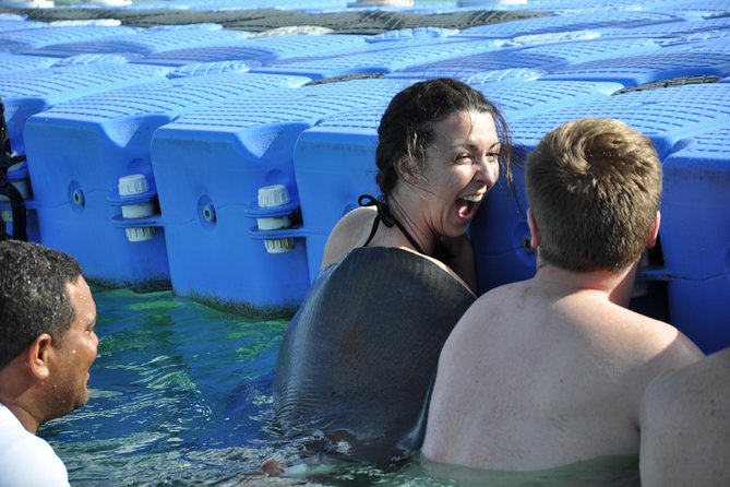 Private Caribbean Snorkeling Cruise At Punta Cana & Sharks, Stingray Encounter - A Private Catamaran Ride That Actually Feels Private