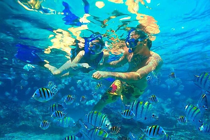 Private Catamaran Party with Snorkeling and Unlimited Drink - Price and Group Setup: Why $890 Can Make Sense