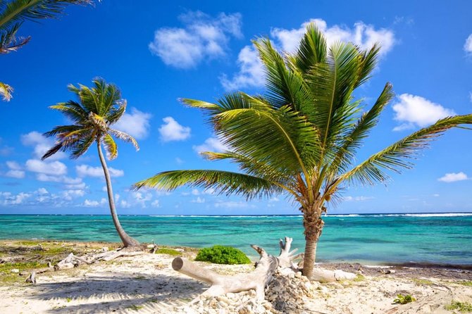 Private Departure Transfer from Punta Cana to Punta Cana airport (PUJ) - Luggage Rules You Should Actually Plan Around
