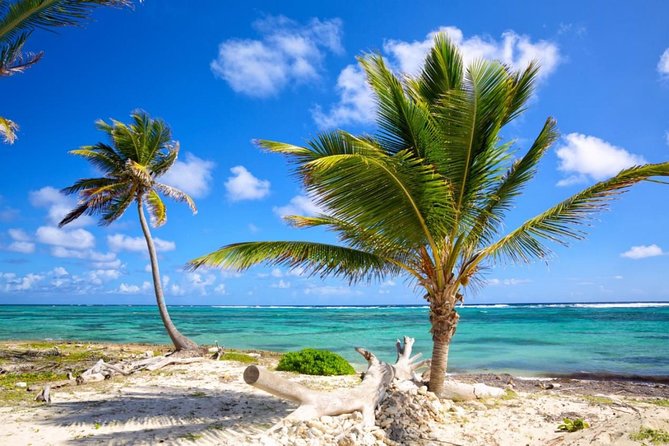 Private Departure Transfer from Uvero Alto to Punta Cana airport (PUJ) - Price and Value: What $57.60 Really Buys You