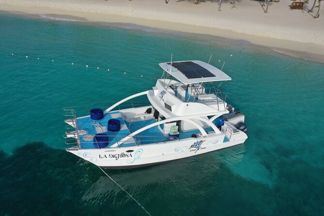 Private Full Day Charter to Saona Island from Punta Cana - Key highlights you’ll actually care about