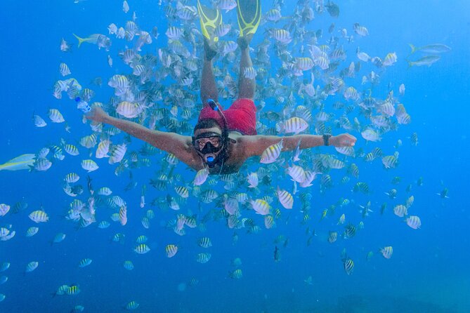 Private Full Day Charter to Saona Island from Punta Cana - Atlantic Princess shipwreck snorkeling: start strong, learn fast