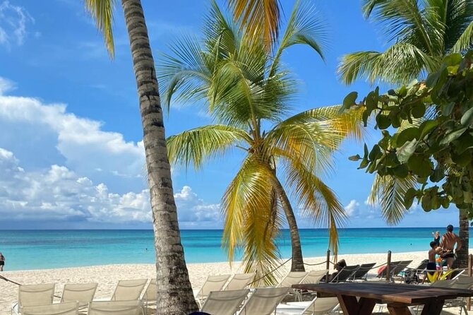 Private Full Day Tour of Punta Cana - Bayahibe at 8:00am: Your Saona Day Starts With Transport