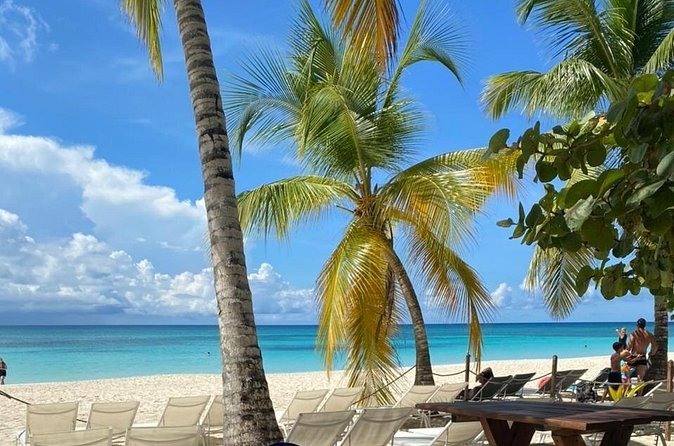 Private Full Day Tour of Punta Cana - Palmilla Beach: Sea Stars, Swim-Over Moments, and Turtle-and-Mangrove Views