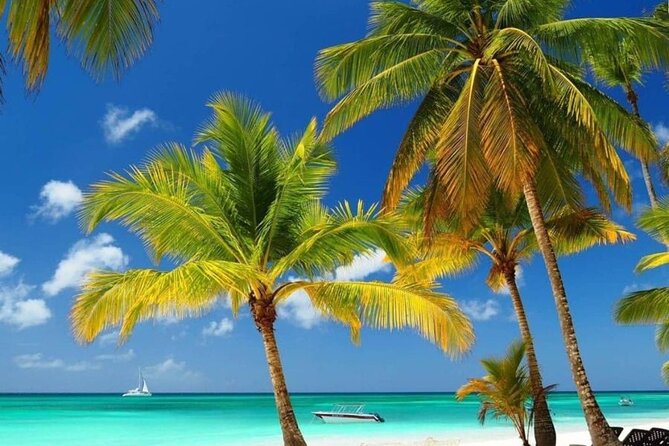 Private Full Day Tour of Punta Cana - Snorkeling Near Bayahibe: Corals and Fish to Close the Loop