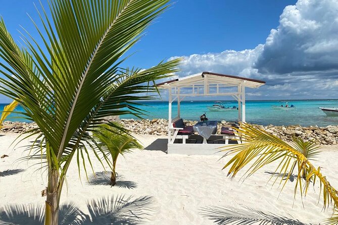 Private Full Day Tour of Punta Cana - Guide Service and the Human Side: Max’s Service Factor