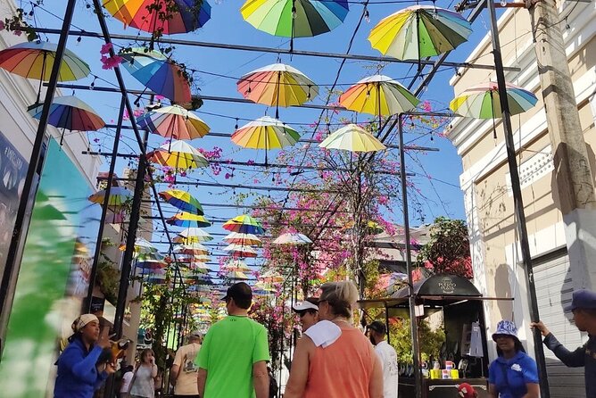 Private Guided Tour: Explore Puerto Plata’s Rich History! - Macorix House of Rum and the Dominican Amber Museum: two stops that feel like museums with smell
