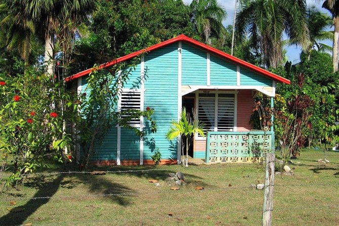 Private Higuey City Tour Real Life in Punta Cana (Half Day) - The Local Market and Souvenirs: How to Get More Than a Drive-By