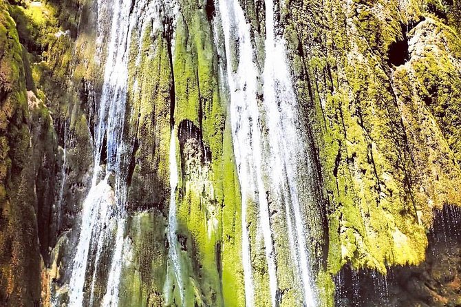 Private Hiking to Salto el Limon with a Local expert Guide from Samana - What You Actually Do: The Walk to El Salto del Limon