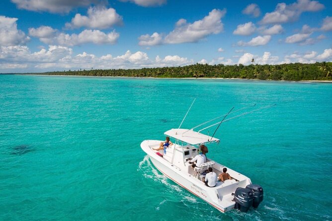 Private Isla Saona Boat Tour – Snorkeling Premium Drinks & Buffet - Quick Take: Private Saona & Palmilla in Real Life