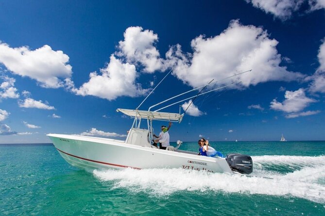 Private Isla Saona Boat Tour – Snorkeling Premium Drinks & Buffet - Who Should Book This Private Isla Saona Tour