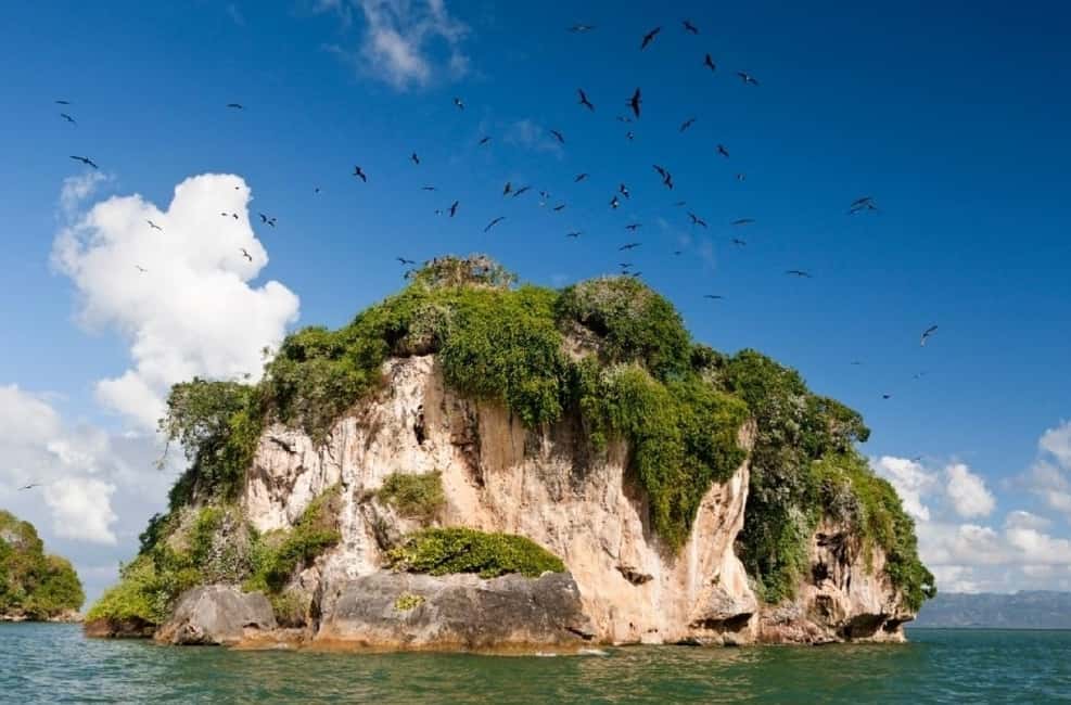 Private: Los Haitises & Cayo Levantado from Samana - Key Points You Should Know Before You Go