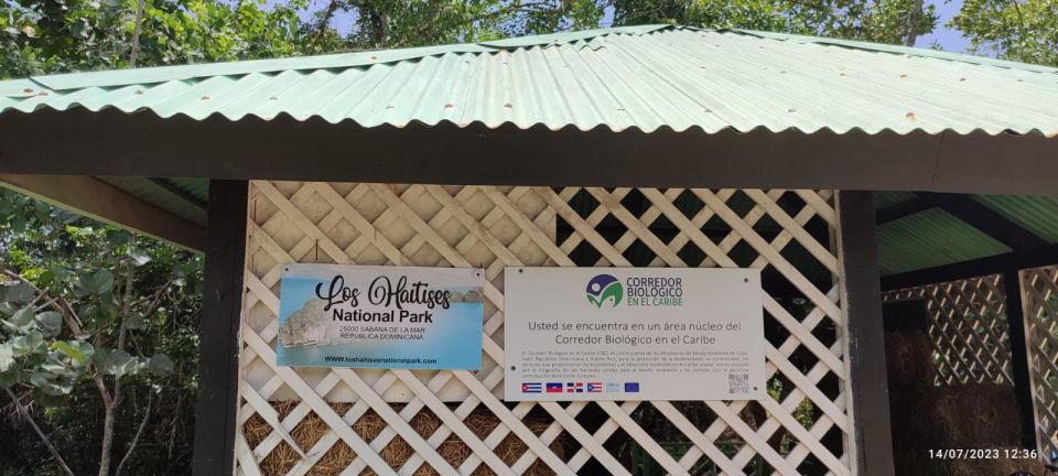 Private: Los Haitises & Cayo Levantado from Samana - Boarding and Dock Reality Check: The Moment You’ll Feel in Your Legs