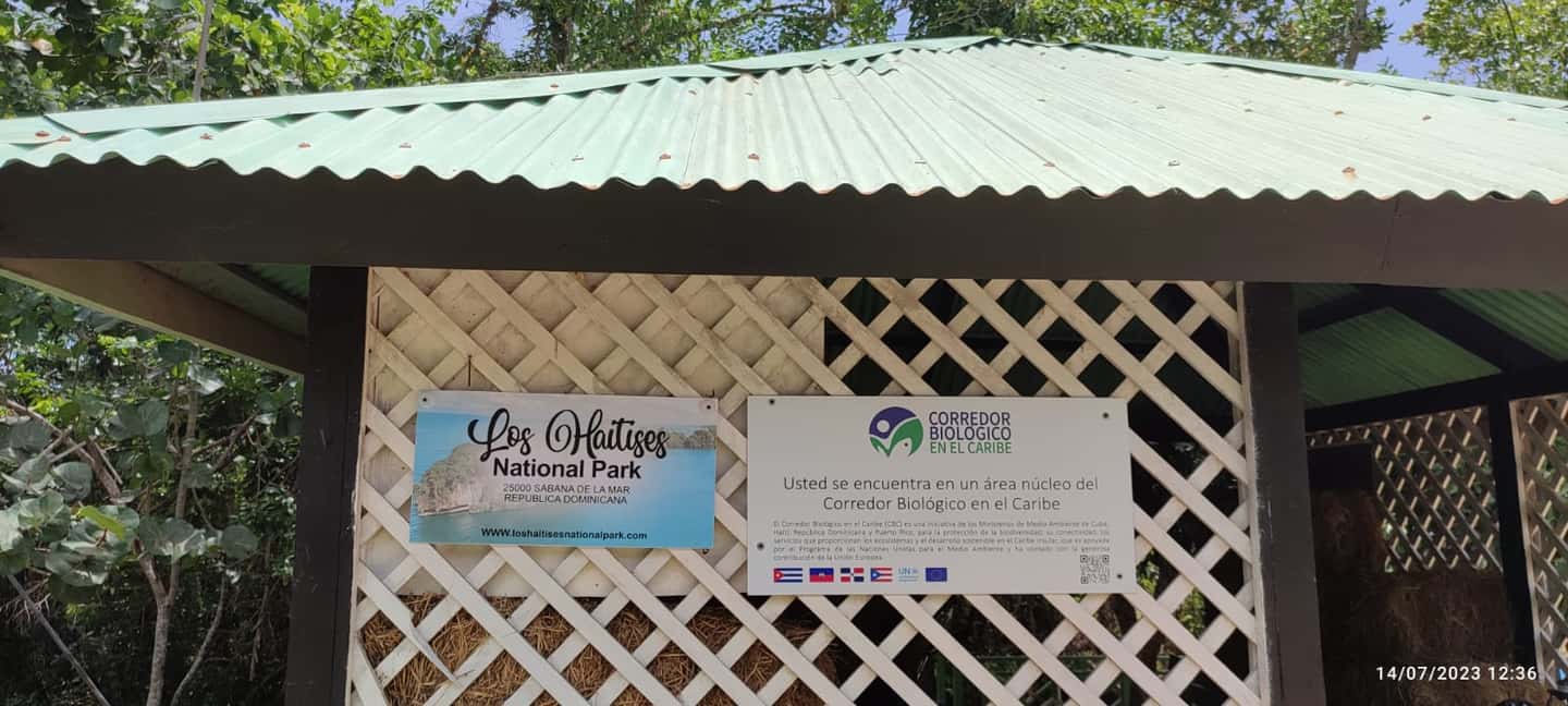 Private: Los Haitises & Cayo Levantado from Samana - What About the Wildlife? Birds Are the Bonus, Not the Whole Show