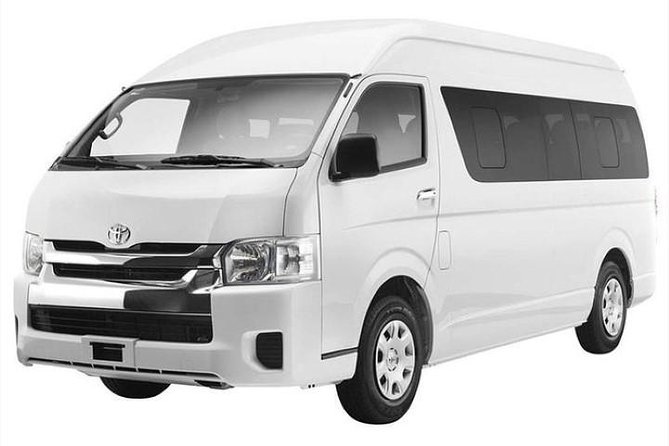 Private Punta Cana Round-Trip Airport Transfer - The Arrival Plan: PUJ Pickup, Name Sign, and A/C Comfort