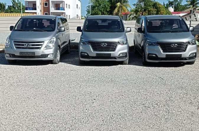 Private Roundtrip Transfer from Punta Cana Airport to Hotels - Who This Punta Cana Private Transfer Fits Best