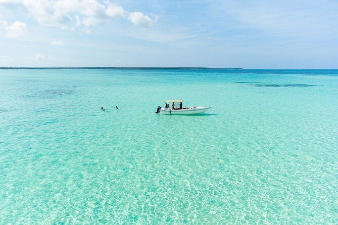 Private Saona Island Excursion - Open bar and lunch: good value, with a few caveats