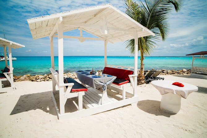 Private Saona Island Excursion - Snorkeling is optional: plan like it’s not guaranteed