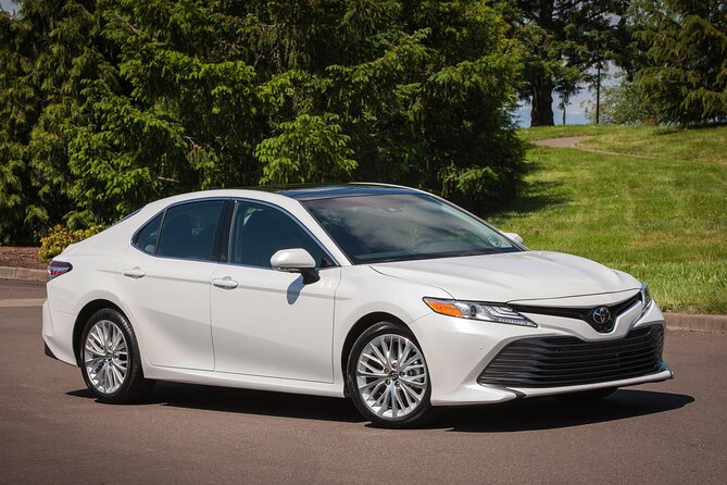 Private Sedan in Punta Cana Airport to Punta Cana Hotels - Key things to know before you book this Punta Cana sedan transfer