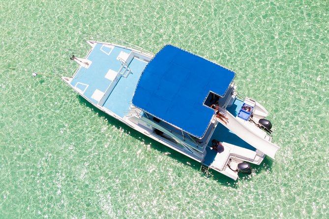Private Snorkeling in Punta Cana - Getting There and Getting Started: What the First 30 Minutes Actually Look Like