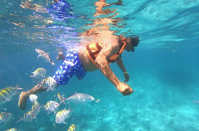 Private Speed Boat Experience with Snorkeling in Punta Cana - Bávaro Natural Pool: Clear Water, Boat Music, and the Trade-Off of Popularity