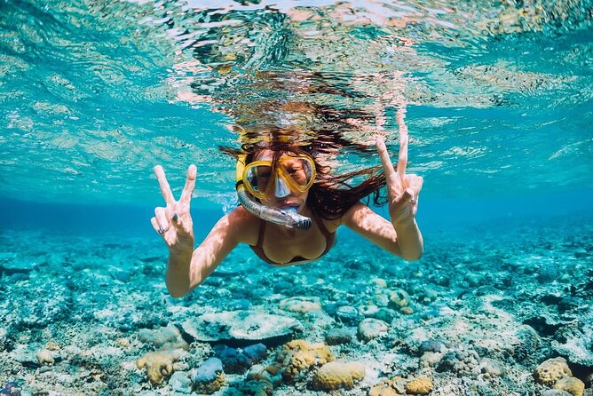 Private Speed Boat Experience with Snorkeling in Punta Cana - Included vs. Extra Costs: Where Value Holds Up and Where It Can Slip