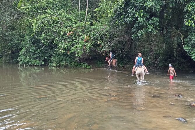 Private Tour in Miches with La Jarda Waterfall Experience - Sunrise Pickup And The Drive Toward Miches