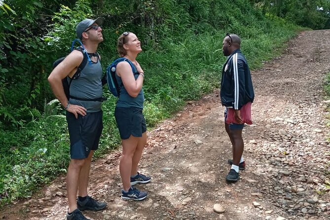 Private Tour in Miches with La Jarda Waterfall Experience - Dominican Breakfast Before The Hike And Lunch Provided After
