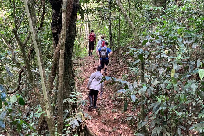 Private Tour in Miches with La Jarda Waterfall Experience - Price And Value Of A Private Day In Miches ($180)