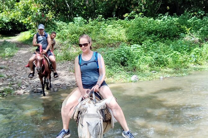 Private Tour in Miches with La Jarda Waterfall Experience - Who This Private Tour Fits Best
