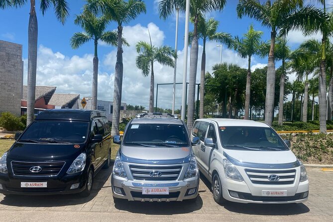 Private Transfer Between Punta Cana and Bavaro - Should You Book Aubain Tours & Transfers for This Transfer?