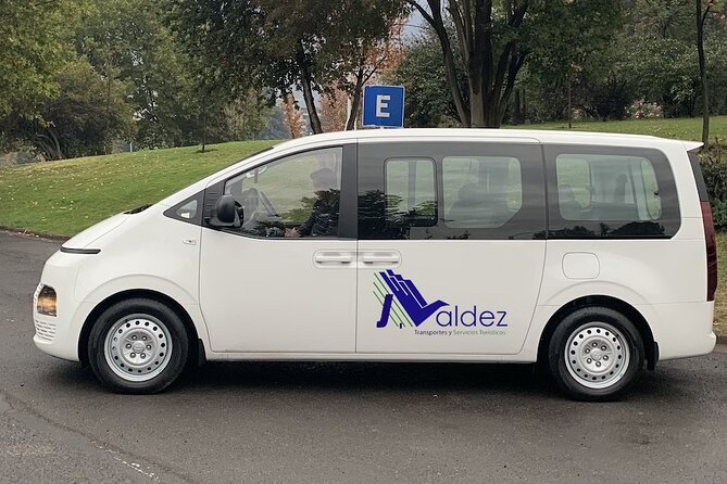 Private Transfer From or to Punta Cana Airport to hotels in Bávaro - Bávaro hotel drop-off: short transfer, fewer headaches