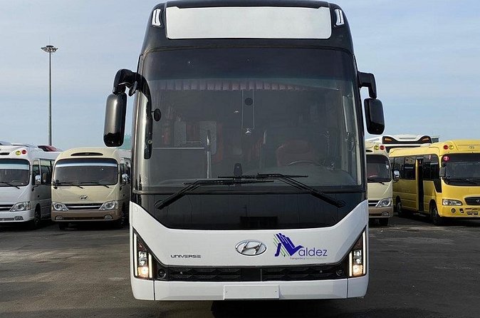 Private Transfer From or to Punta Cana Airport to hotels in Bávaro - The one drawback to plan around: terminal mix-ups