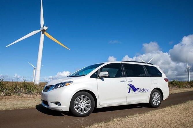 Private Transfer From or to Punta Cana Airport to hotels in Bávaro - Inside the ride: WiFi, comfort, and driver help that actually matters