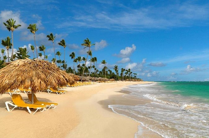 Private Transfer from Punta Cana Airport or Iberostar Punta Cana - From Iberostar Punta Cana Back to PUJ: Getting to Your Flight on Time